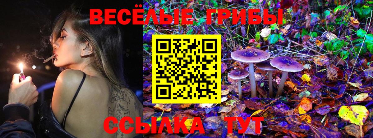Псилоцибиновые грибы Magic Shrooms Аша